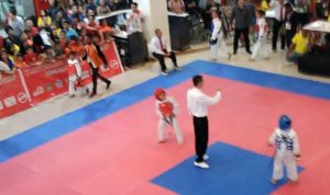 Taekwondo