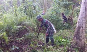 Babinsa Koramil 1312-05 Essang bantu masyarakat membuka lahan perkebunan.